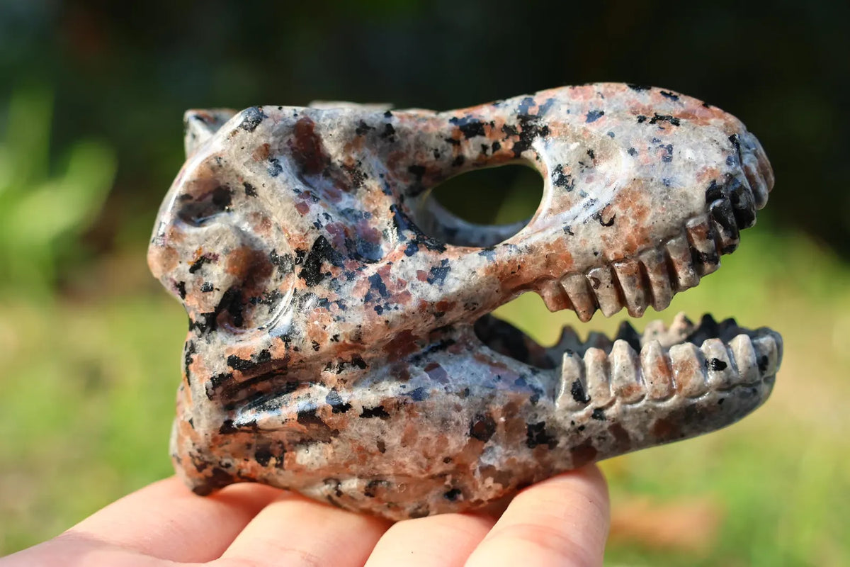 Yooperlite Dinosaur Skull Crystal Carving