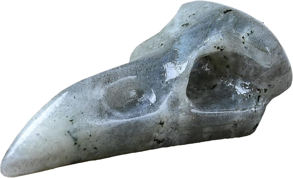 Natural Gemstone Raven Skull Crystal Carving - Hand-Carved Crow Bird Skulls Totem Statue for Protection, Intuition & Gothic Altar Decor
