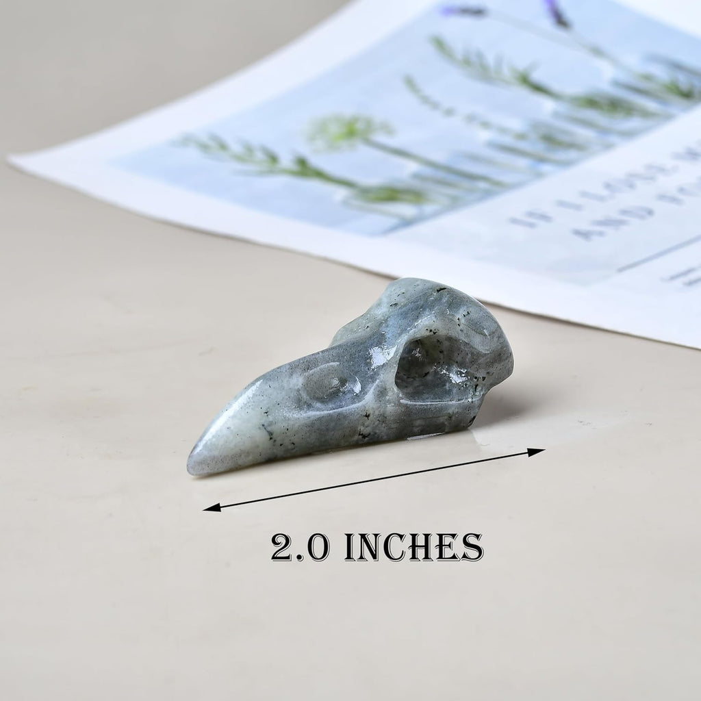 Natural Gemstone Raven Skull Crystal Carving - Hand-Carved Crow Bird Skulls Totem Statue for Protection, Intuition & Gothic Altar Decor